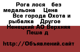 Рога лося , без медальона. › Цена ­ 15 000 - Все города Охота и рыбалка » Другое   . Ненецкий АО,Верхняя Пеша д.